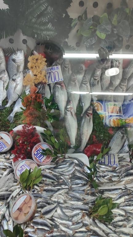 Balıkcım Yasem fotoğraf 5