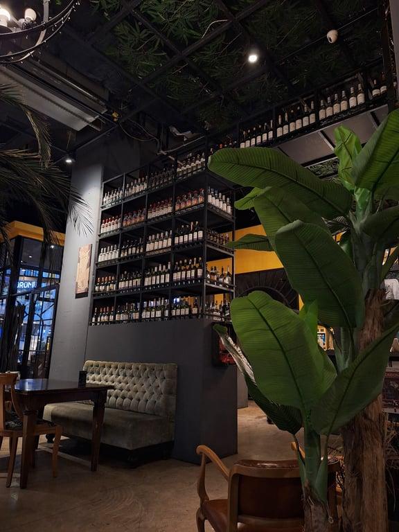 Barista Plus fotoğraf 5
