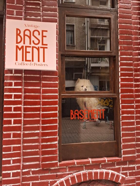 Basement Coffee & Mocktails
