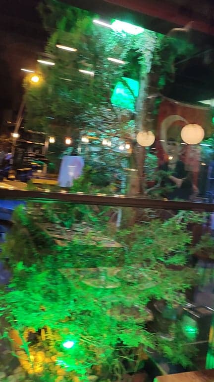 Başkent Aspava Restorant fotoğraf 2