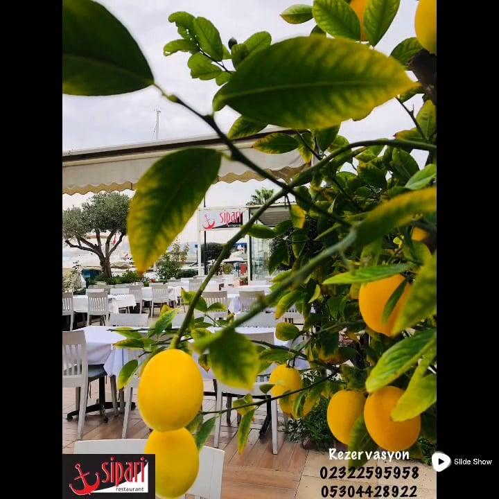 Sipari Restaurant fotoğraf 2