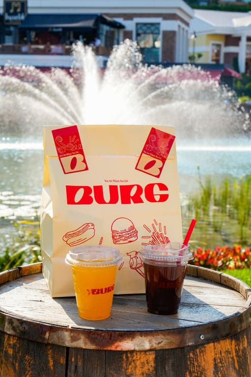 Burg Burger fotoğraf 3
