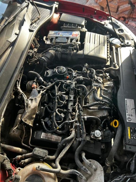 Dama Automotive fotoğraf 6