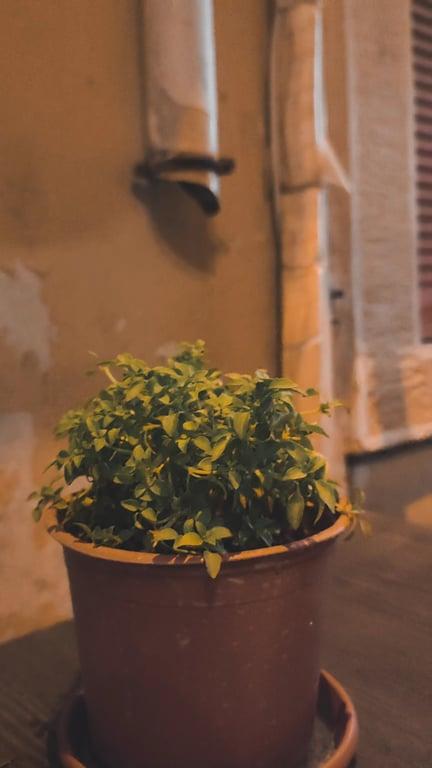 Cafe Ma fotoğraf 2