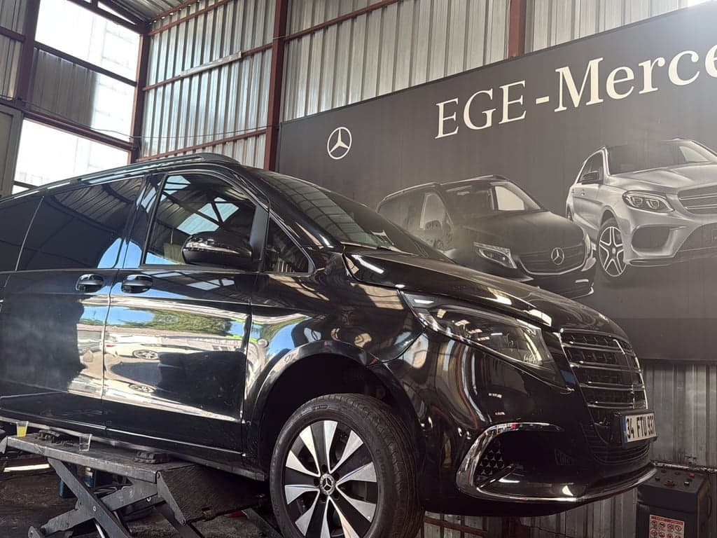 EGE-Mercedes-Benz fotoğraf 4