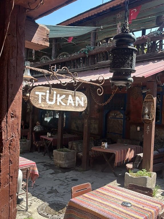 Eski Erzurum Evleri fotoğraf 3