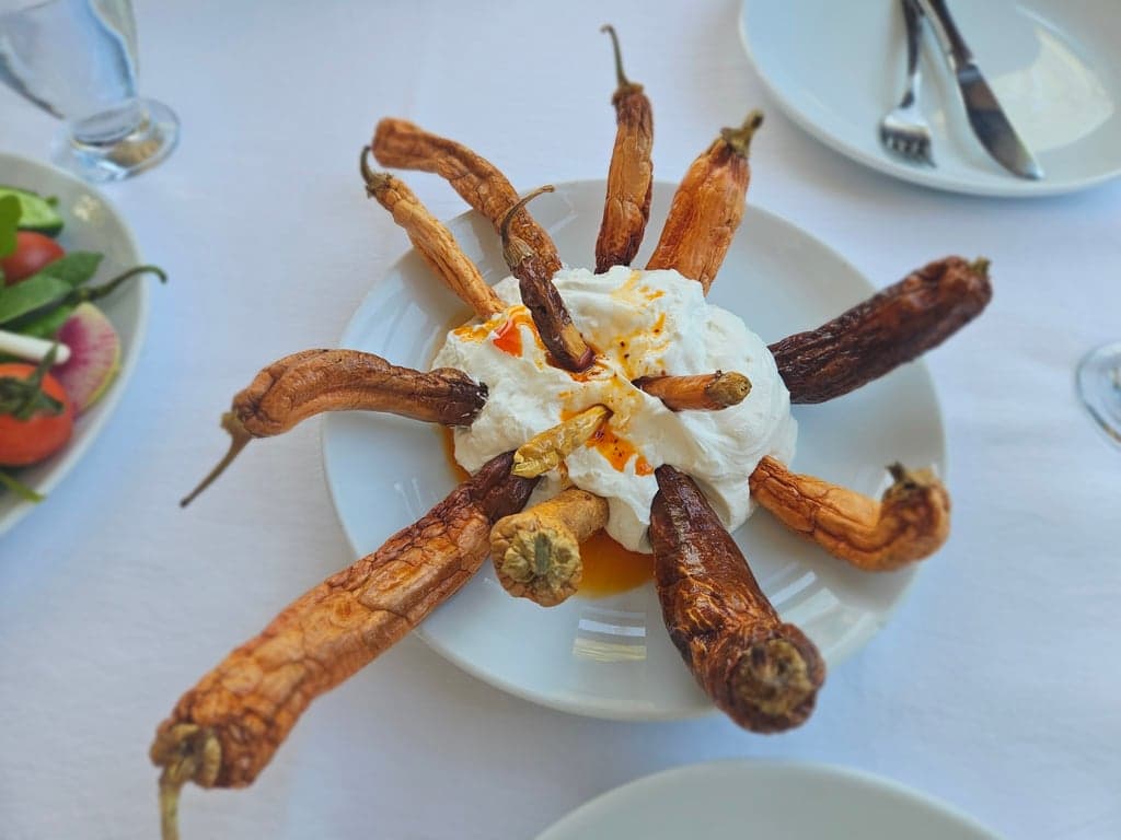 Garson Şükrü Aile Restaurant fotoğraf 5