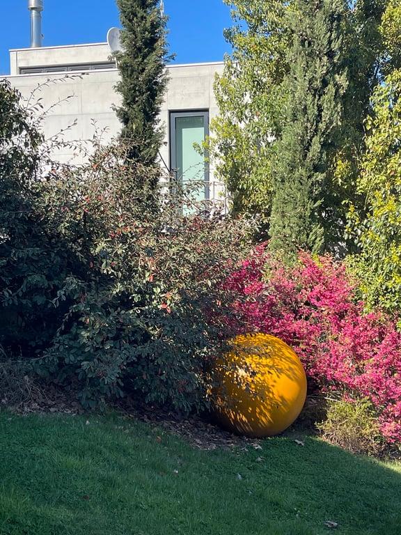 Hara I Sanat Alanı fotoğraf 7