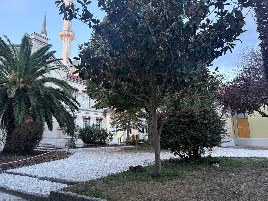 Institut français Istanbul fotoğraf 5