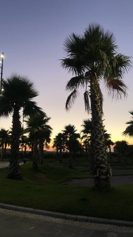 İskenderun EXPO Alanı fotoğraf 1