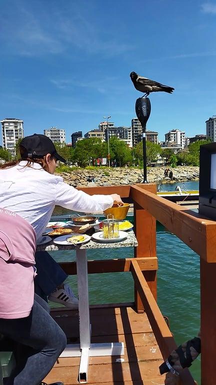 İstanbul Suadiye Marina Cafe fotoğraf 2