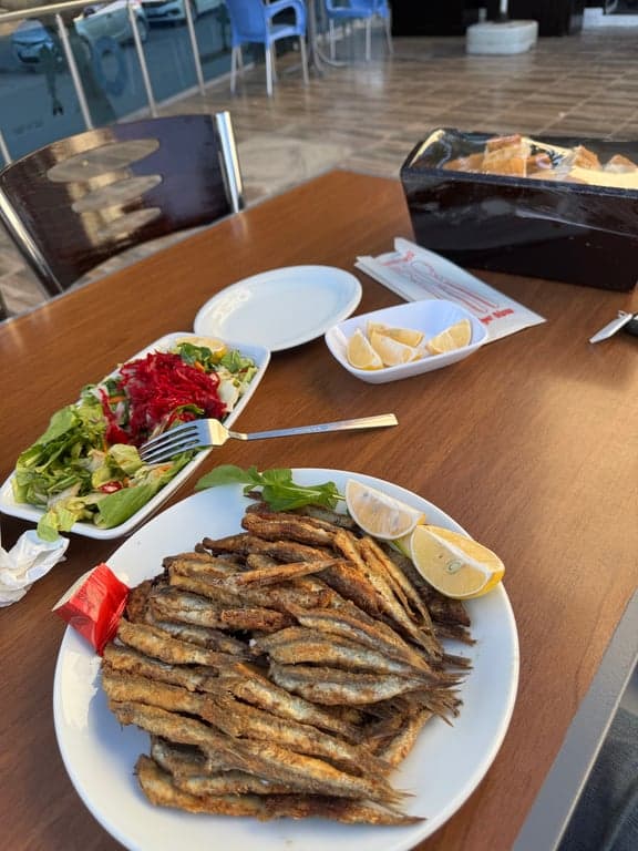 Laz'ın Yeri fotoğraf 3