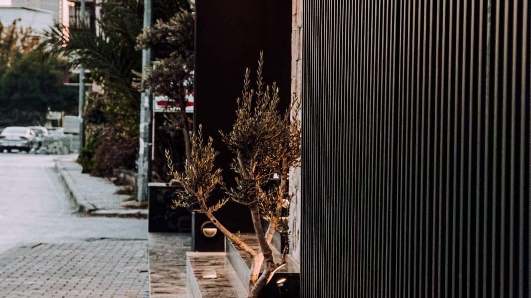 Lezzet Steakhouse fotoğraf 4