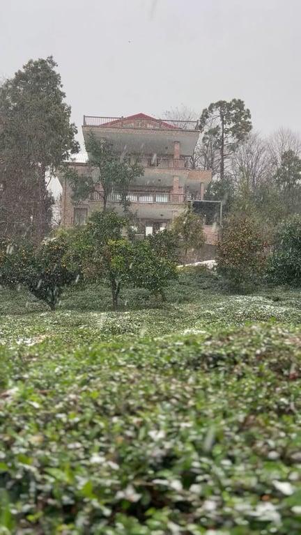 Loidevilla fotoğraf 2