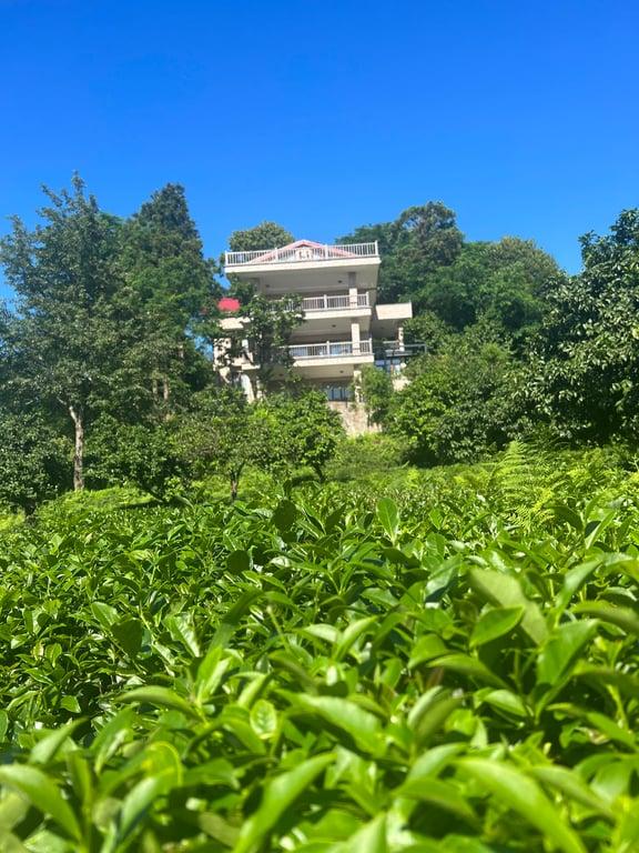 Loidevilla fotoğraf 5