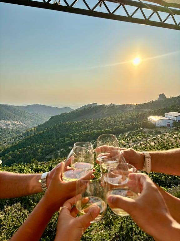 Ma'adra Vıneyard fotoğraf 6