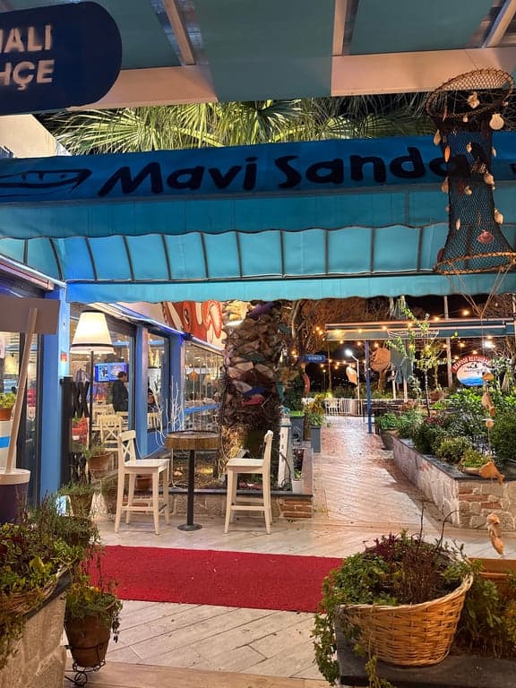 Mavi Sandal Balıkçısı