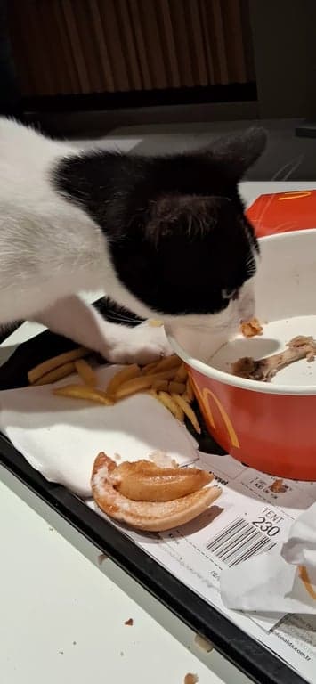 McDonald's İzmir Selçuk fotoğraf 2