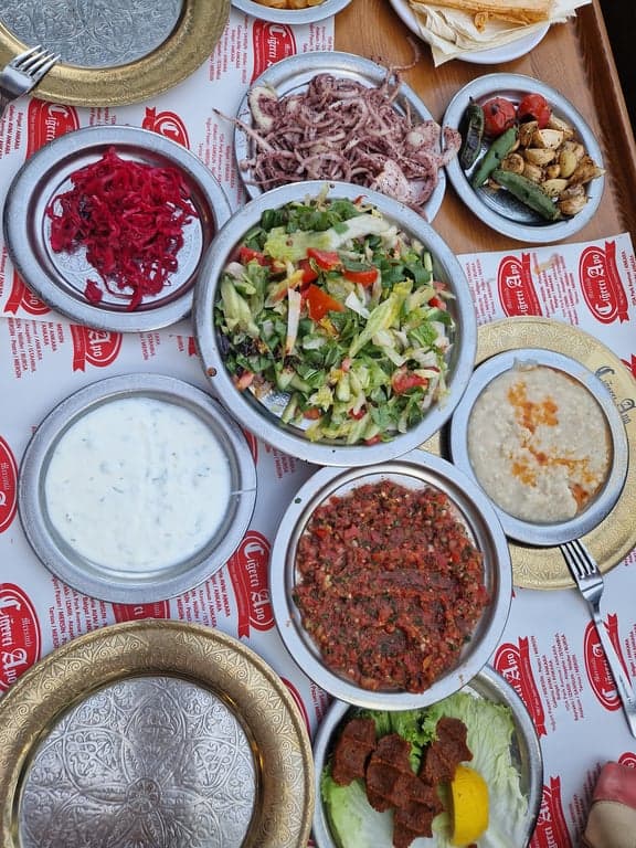 Mersinli Ciğerci Apo fotoğraf 13