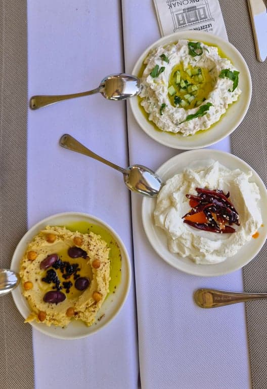 Ordu Sarı Konak fotoğraf 4