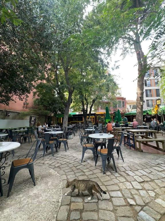 Piraye Kafe fotoğraf 30