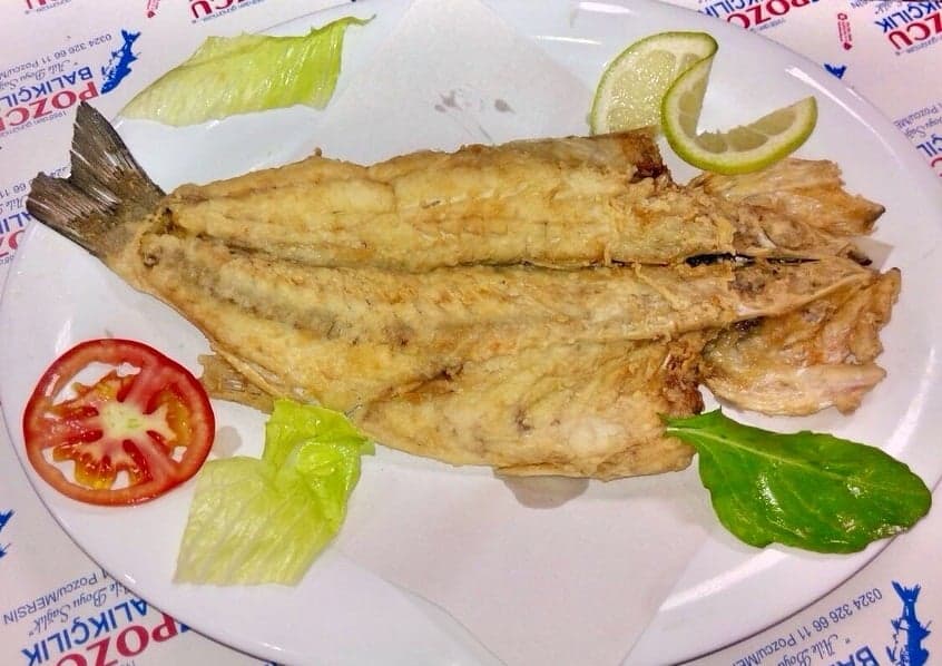 Pozcu Balıkçılık fotoğraf 21