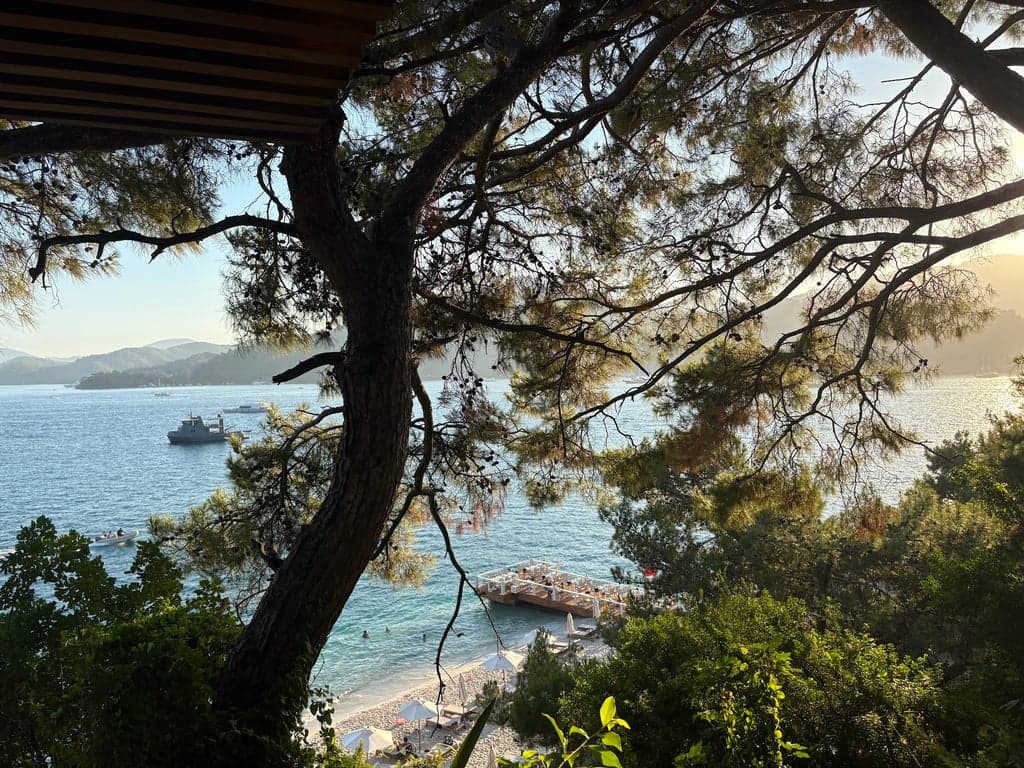 Q Lounge fotoğraf 6