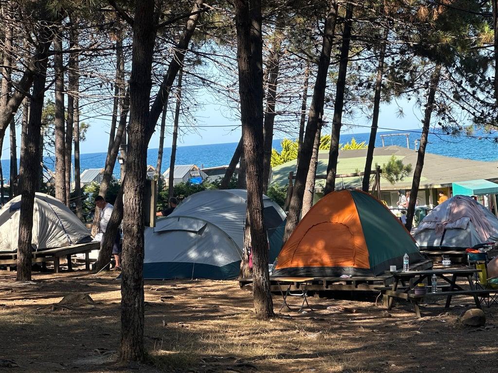 Sahil Kamp İstanbul fotoğraf 7