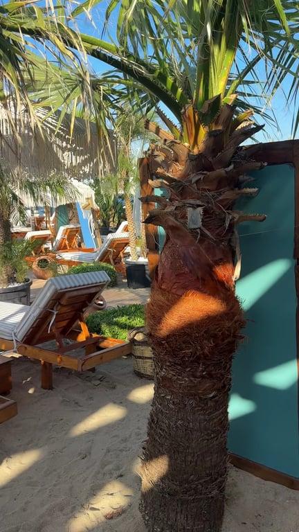 Scala Beach fotoğraf 2