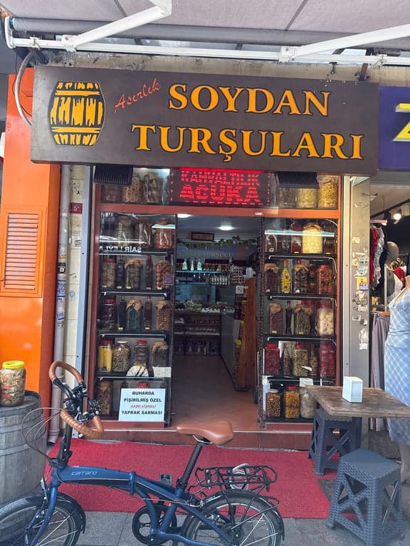 Soydan Turşucu