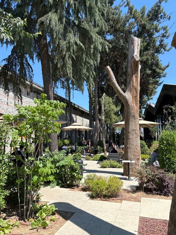 Starbucks fotoğraf 5