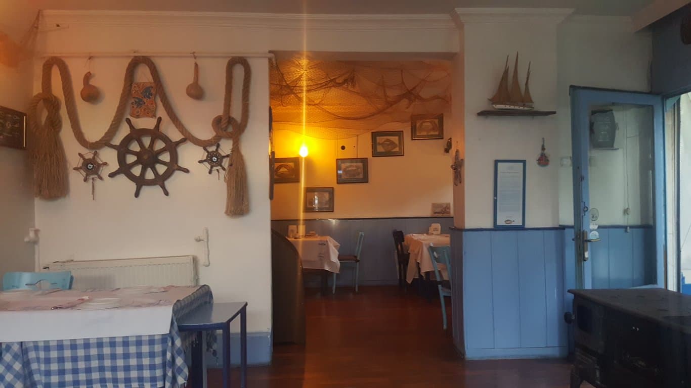 Tekir Balık fotoğraf 12