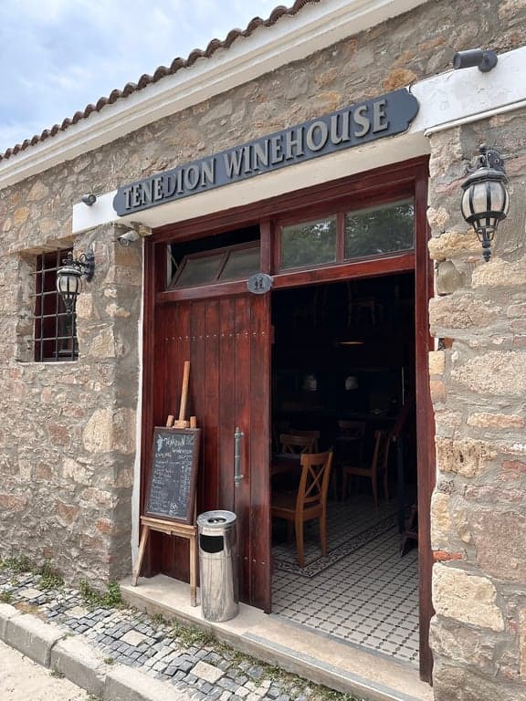 Tenedion Winehouse fotoğraf 1