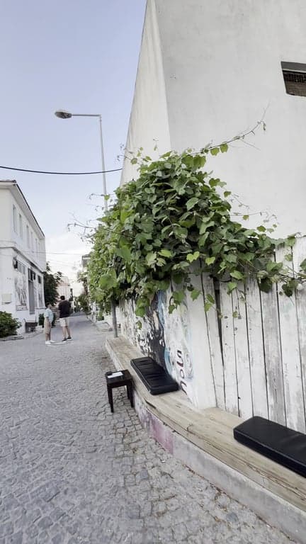 Tenedion Winehouse fotoğraf 2
