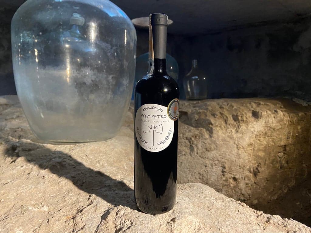 Tenedion Winehouse fotoğraf 3