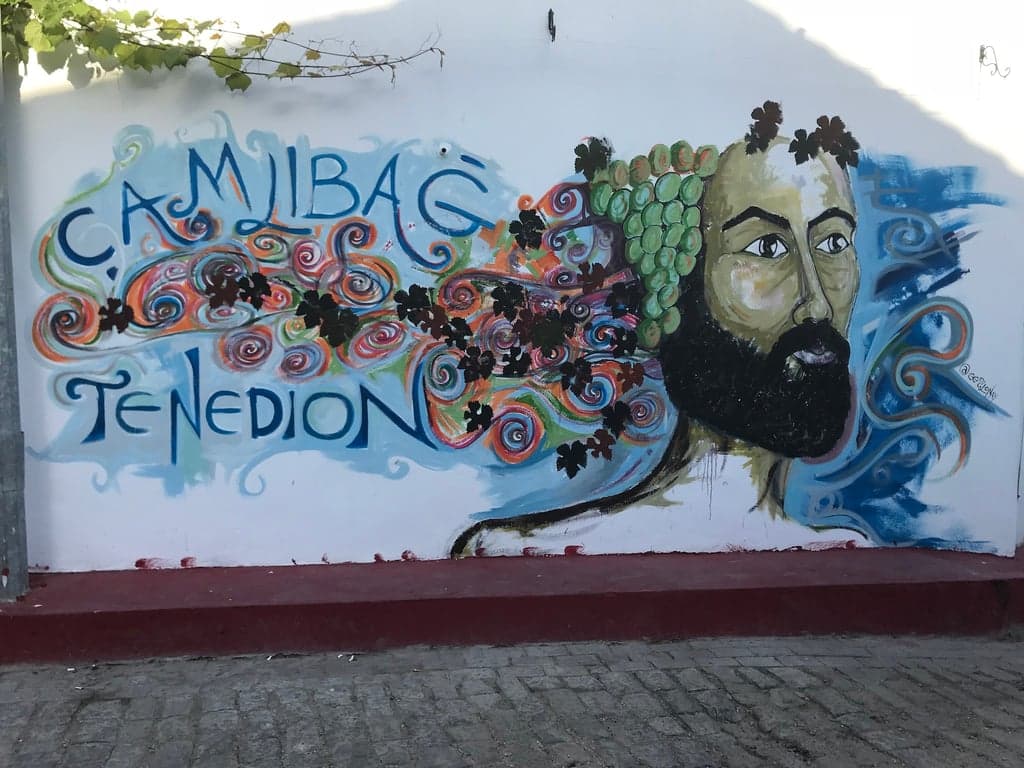 Tenedion Winehouse fotoğraf 4
