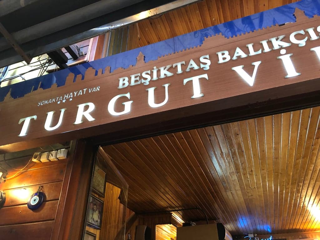 Turgut Vidinli fotoğraf 6