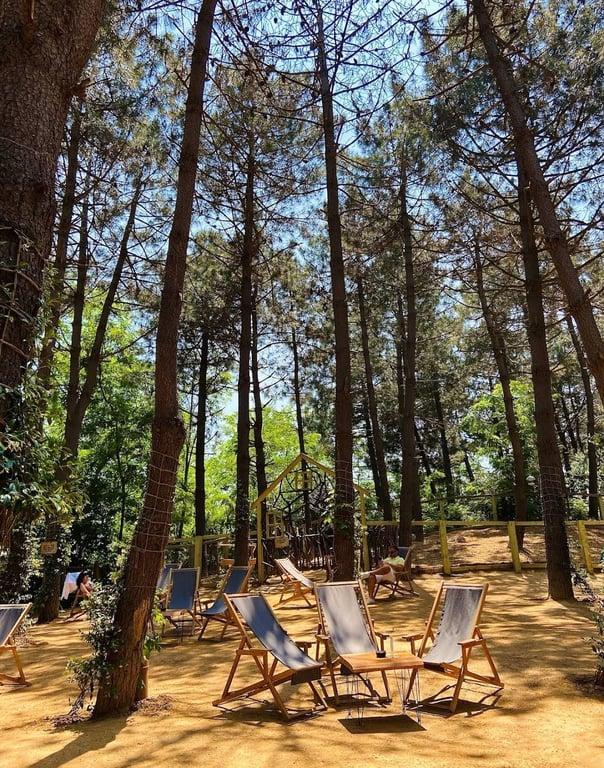 Turkcell Platinum Park