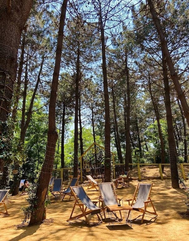 Turkcell Platinum Park fotoğraf 1