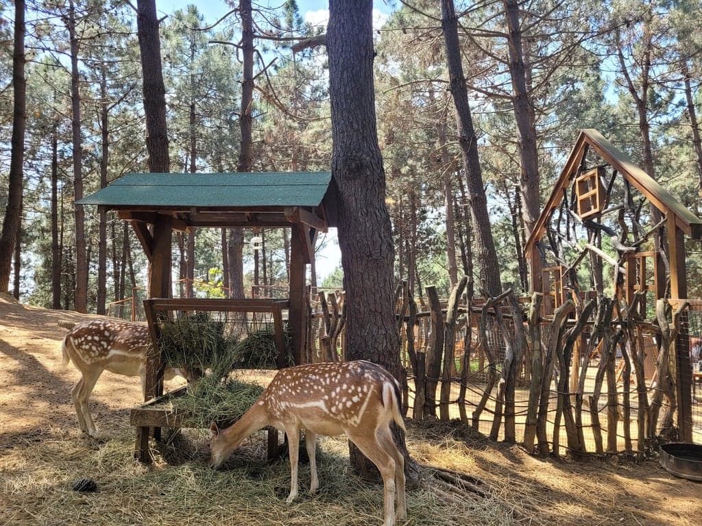 Turkcell Platinum Park fotoğraf 6