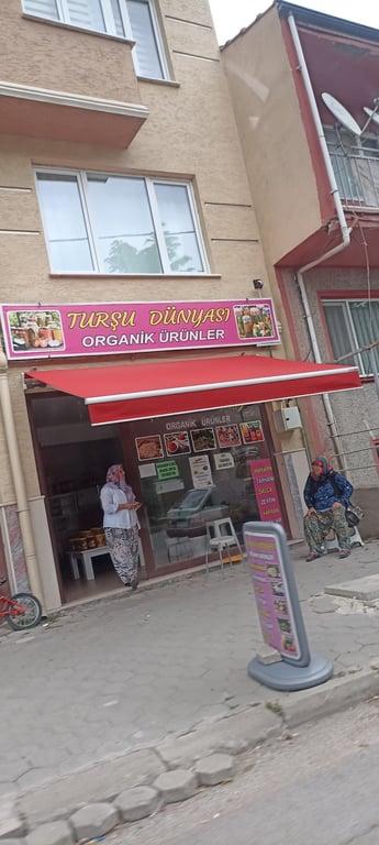 Turşu Dünyası