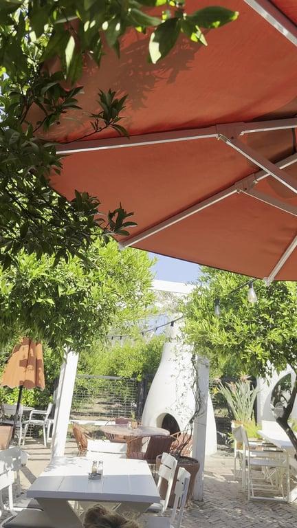 Vamos Bodrum fotoğraf 2