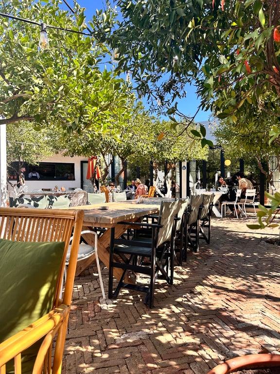 Vamos Bodrum fotoğraf 5