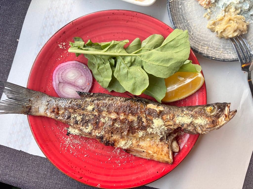 Yakamoz Balık Restaurant fotoğraf 7