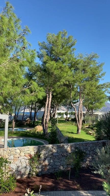 Z-Mare / Z-Villas Beach Hotel fotoğraf 2