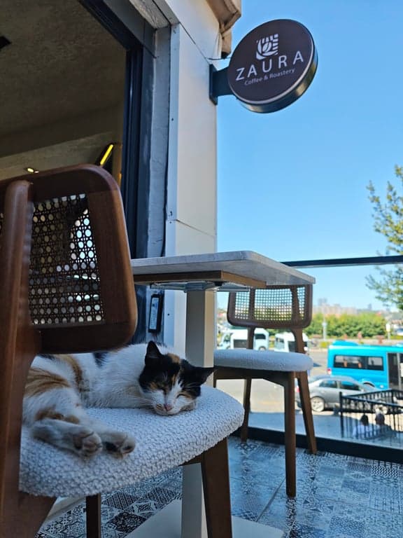 Zaura Coffee & Roastery fotoğraf 3