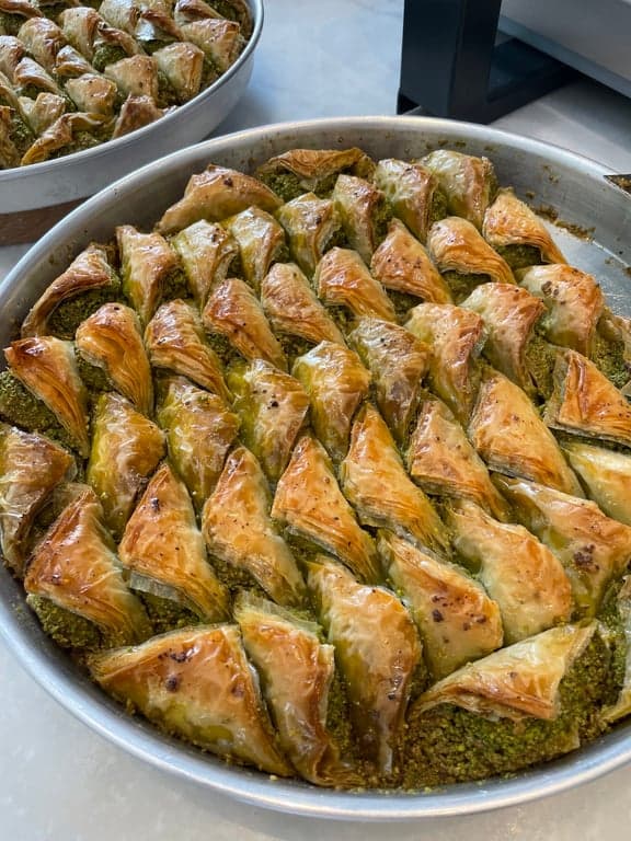 Zeki İnal fotoğraf 18