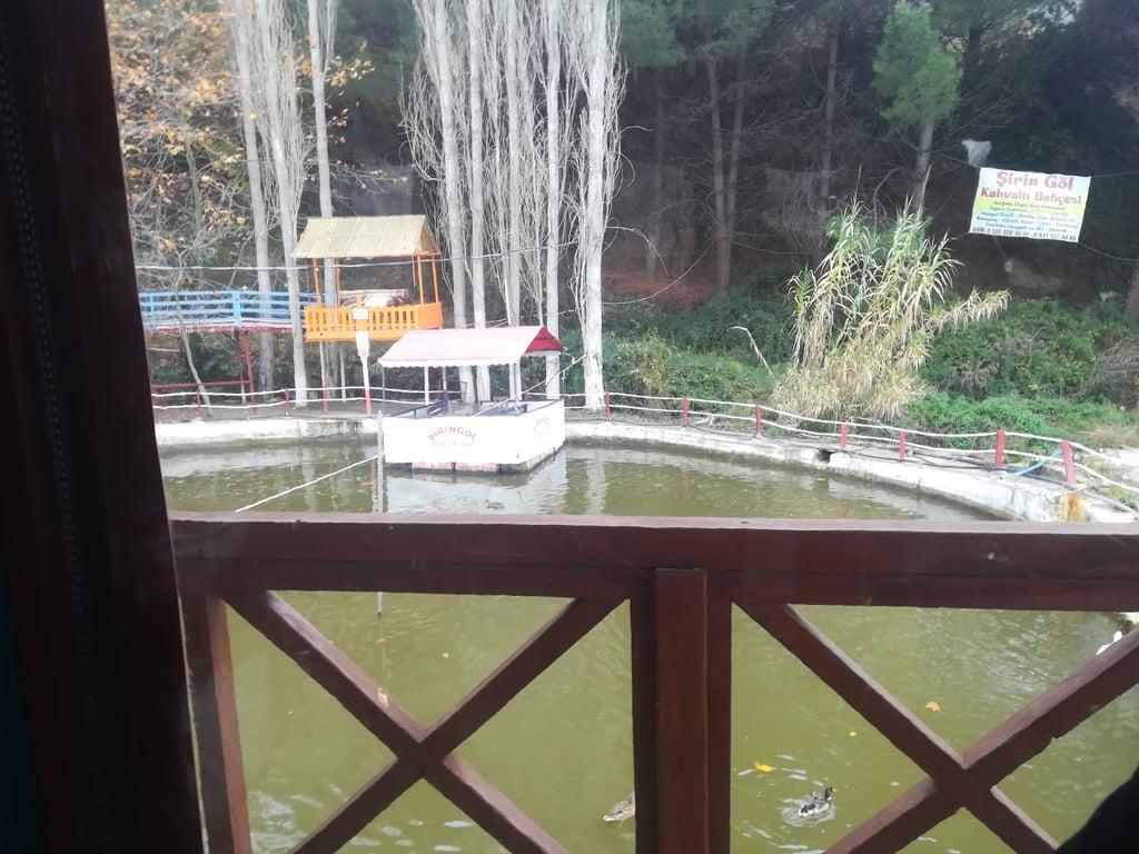 Zeste Restoran fotoğraf 4