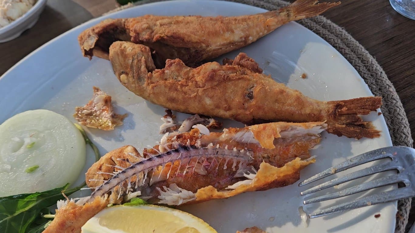 Zeytin Cafe & Restaurant Urla fotoğraf 2