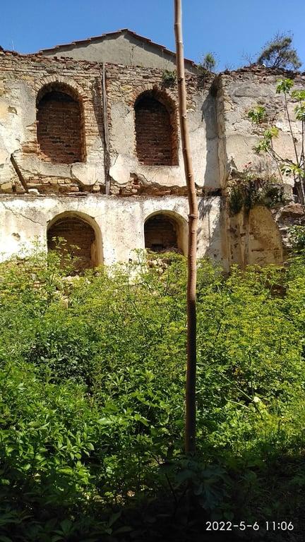 Zeytinbağı fotoğraf 4